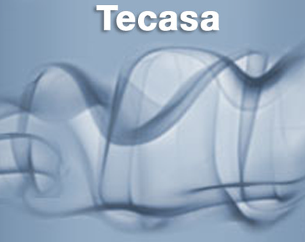 TECASA